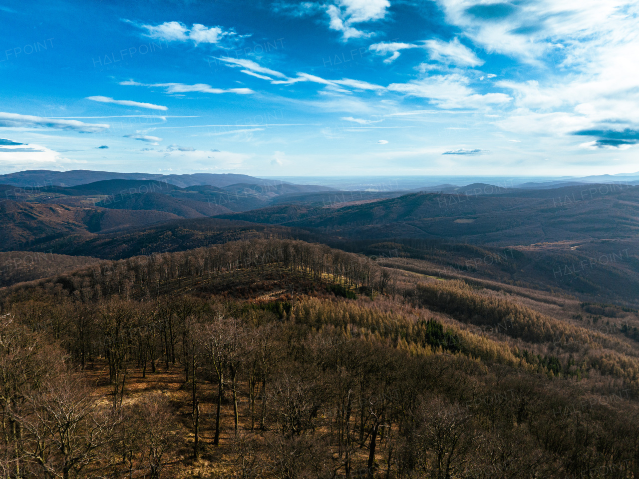 Aerial view of awakening spring nature. Deciduous forest with leafless trees, early spring, spring warm sunshine rays.