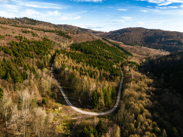 Aerial view of awakening spring nature. Deciduous forest with leafless trees, early spring, spring warm sunshine rays.