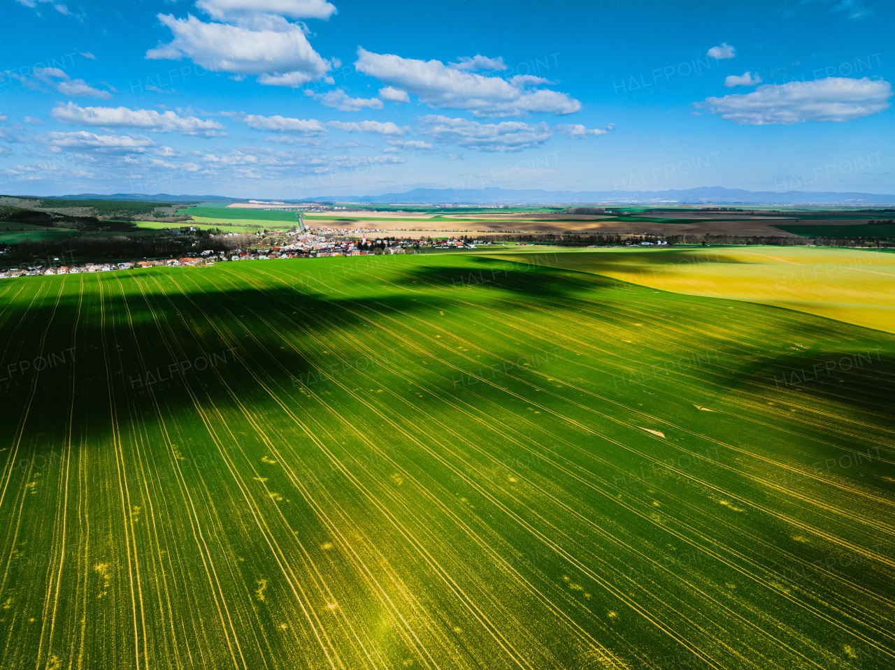 Aerial view of green summer farm fields, crops or pasture with during warm summer day.