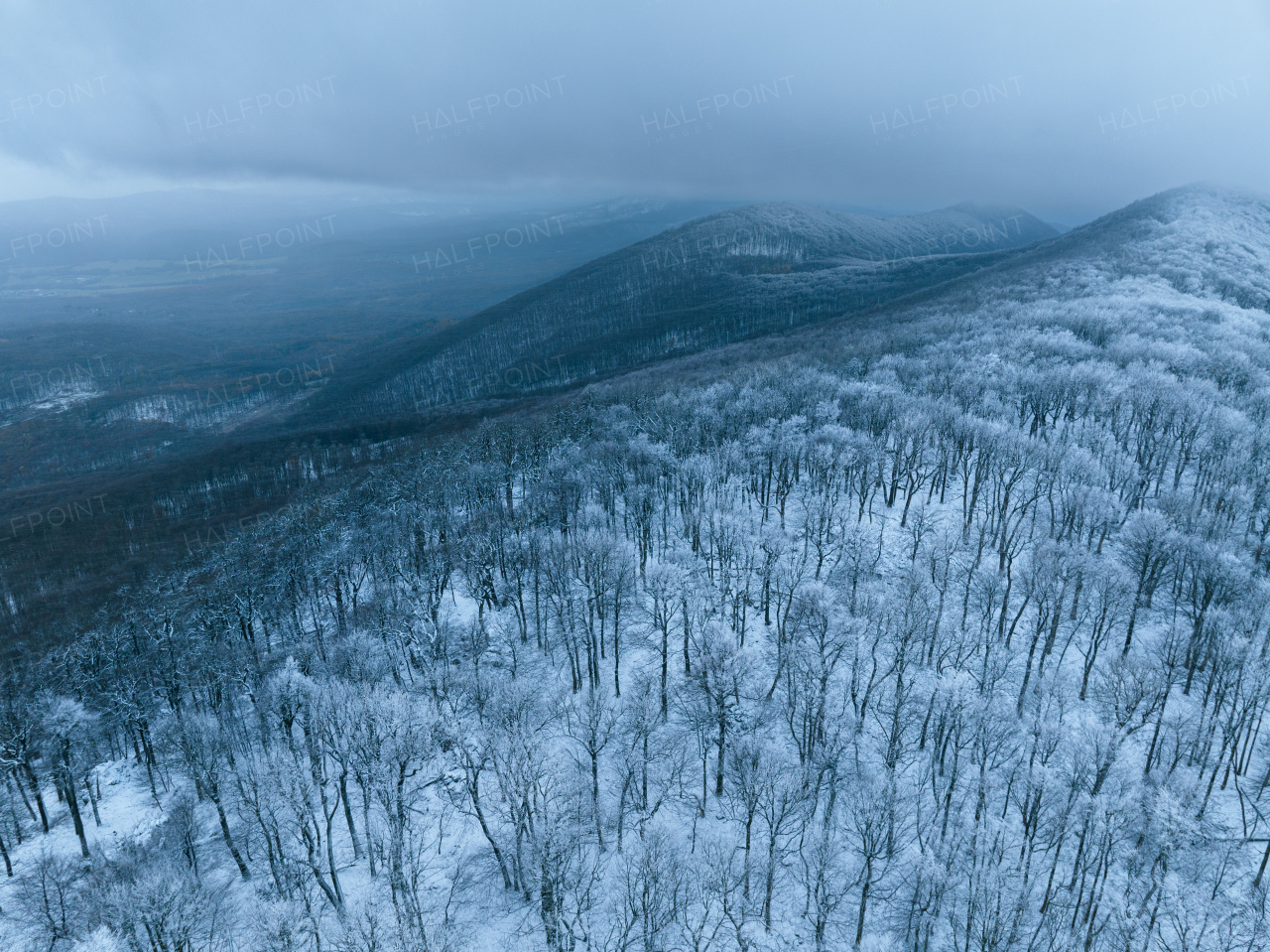 Aerial view of winter forest with light dusting of snow, hoarfrost on the trees. Drone view of snowy landscape.