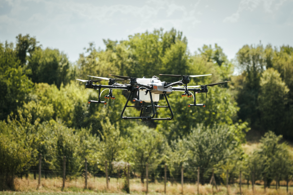 Agricultural drones spraying crops, distribute pesticides, herbicides and fertilizers efficiently and precisely. Aerial view of a drone moderning over farm fields, technologies in modern farming.