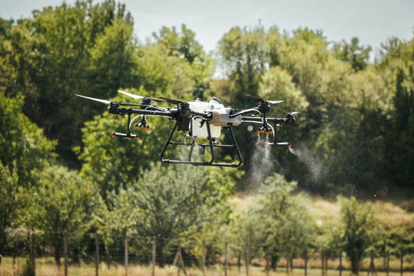 Agricultural drones spraying crops, distribute pesticides, herbicides and fertilizers efficiently and precisely. Aerial view of a drone moderning over farm fields, technologies in modern farming.