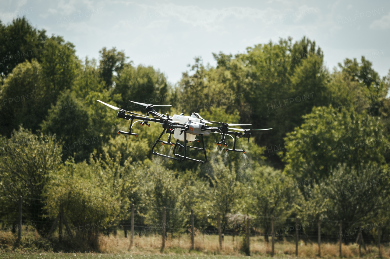 Agricultural drones spraying crops, distribute pesticides, herbicides and fertilizers efficiently and precisely. Aerial view of a drone moderning over farm fields, technologies in modern farming.