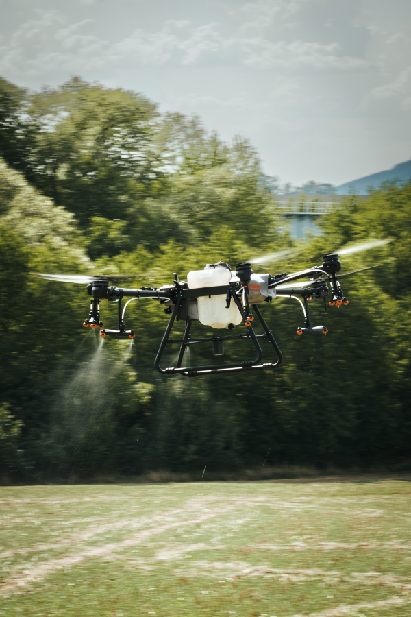 Agricultural drones spraying crops, distribute pesticides, herbicides and fertilizers efficiently and precisely. Aerial view of a drone moderning over farm fields, technologies in modern farming.