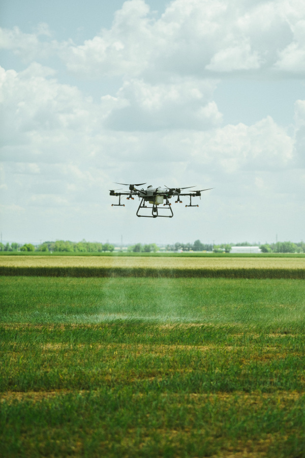 Agricultural drones spraying crops, distribute pesticides, herbicides and fertilizers efficiently and precisely. Aerial view of a drone moderning over farm fields, technologies in modern farming.