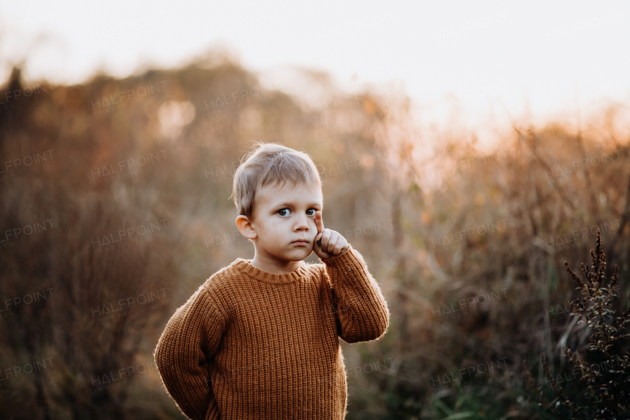 A portrait of cute little boy wearing knitted sweater in nautre, autumn concept.