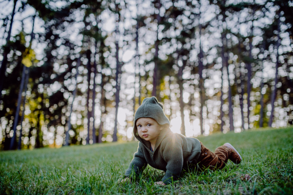 A little boy wearing knitted sweater lying on front on grass in park in autumn.