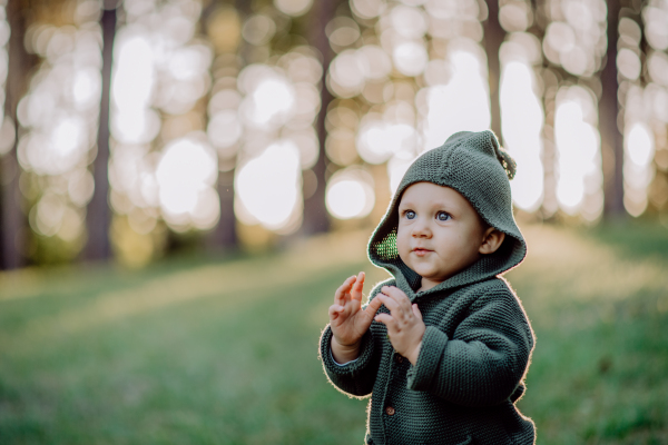 A portrait of cute little boy wearing knitted hoodie in nautre, autumn concept.