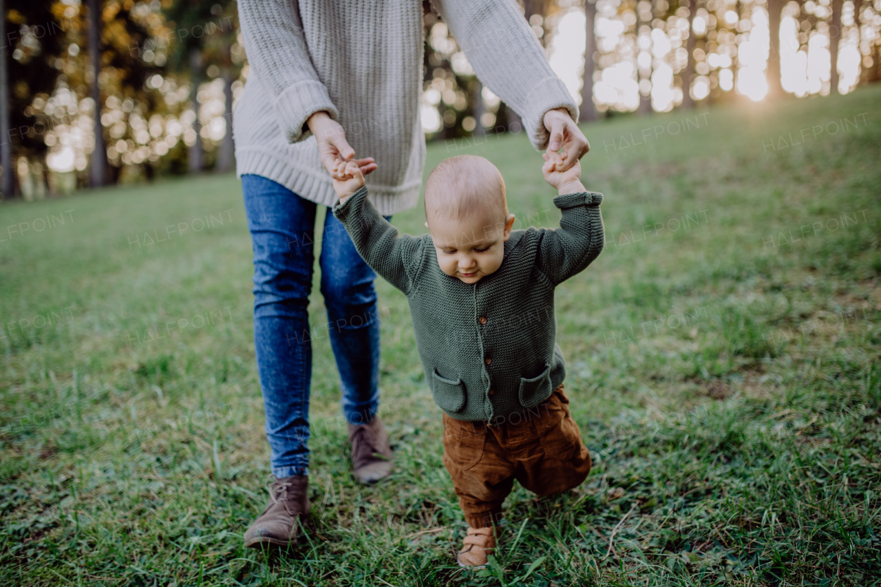 A mother holding hands of her baby son when walking in nature, baby's first steps concept.