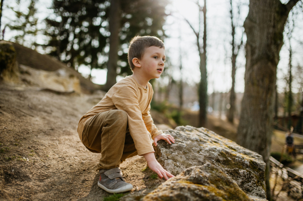 A portrait of cute curious little boy in nautre, autumn concept.