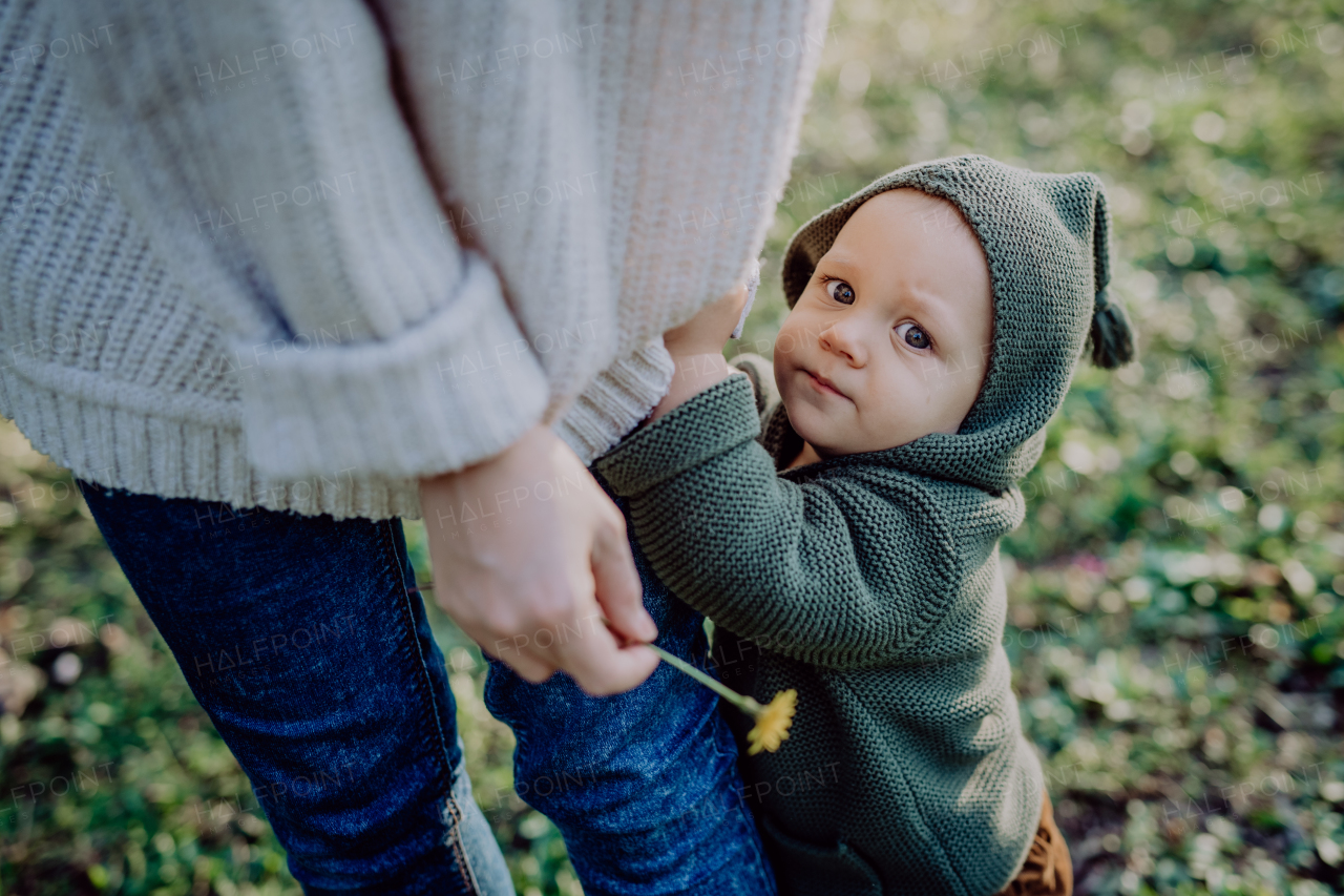 A mother holding hands of her baby son when walking in nature, baby's first steps concept.