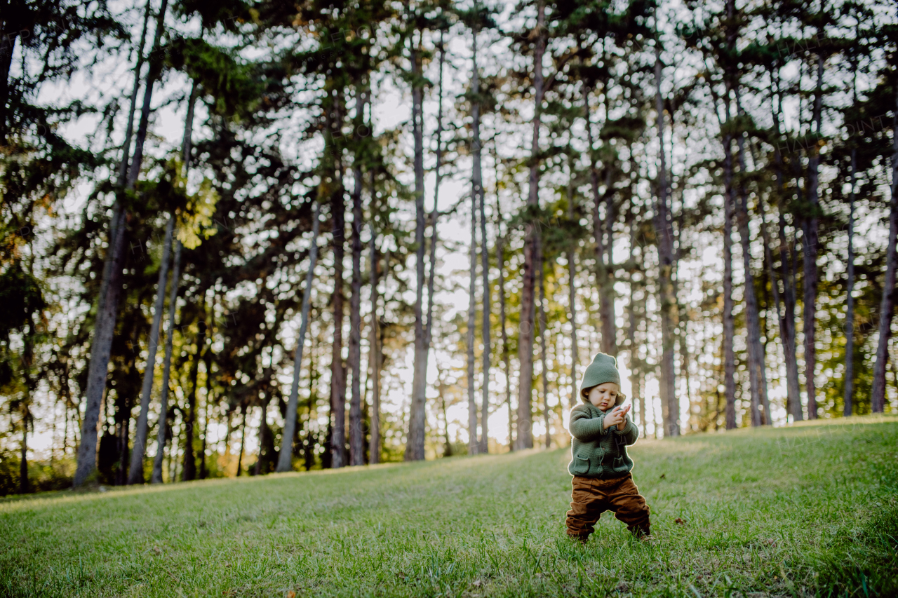 A portrait of cute little boy wearing knitted hoodie in nautre, autumn concept.