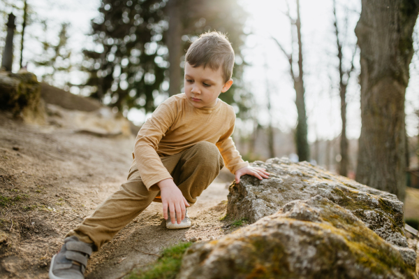 A portrait of cute curious little boy in nautre, autumn concept.