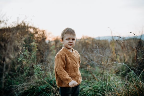 A portrait of cute little boy wearing knitted sweater in nautre, autumn concept.