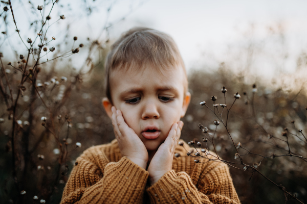 A portrait of sad little boy wearing knitted sweater in nautre, autumn concept.