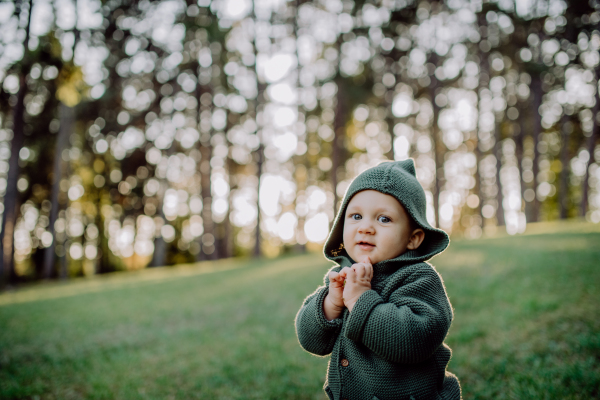 A portrait of cute little boy wearing knitted hoodie in nautre, autumn concept.