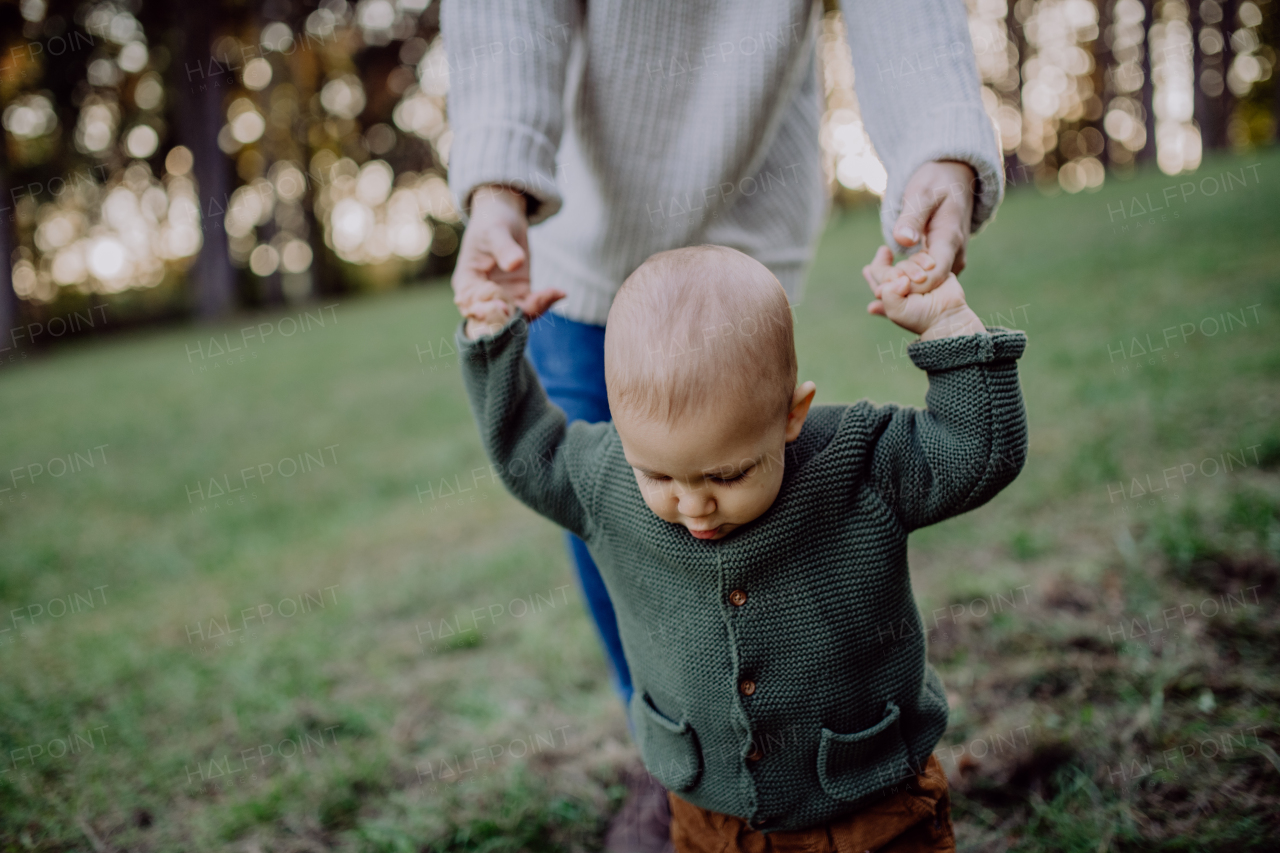 A mother holding hands of her baby son when walking in nature, baby's first steps concept.