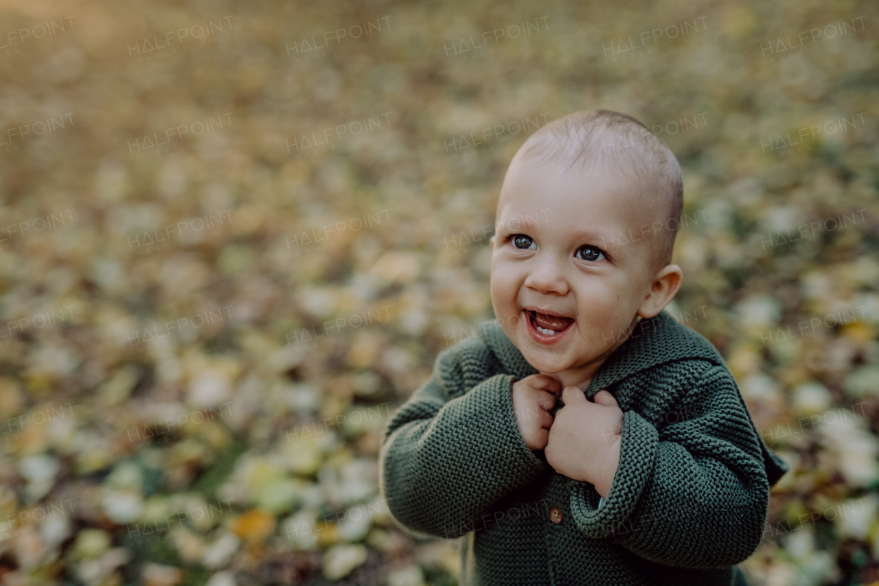 A little boy sitting in dry leaves in nature, autumn concept