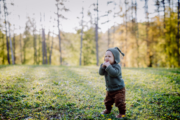 A cute little boy wearing knitted hoodie in nautre, during sunset,autumn concept.