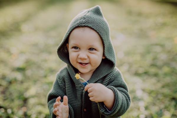 A portrait of cute little boy wearing knitted hoodie in nautre, autumn concept.