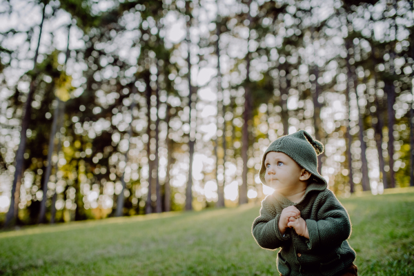 A portrait of cute little boy wearing knitted hoodie in nautre, autumn concept.