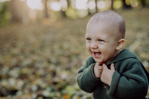 A little boy sitting in dry leaves in nature, autumn concept