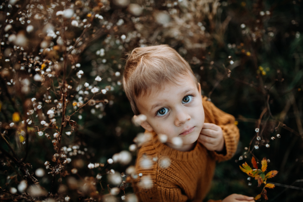 Top view of a cute little boy wearing knitted sweater, explorying autumn nautre.