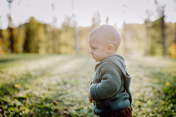 A little boy sitting in dry leaves in nature, autumn concept