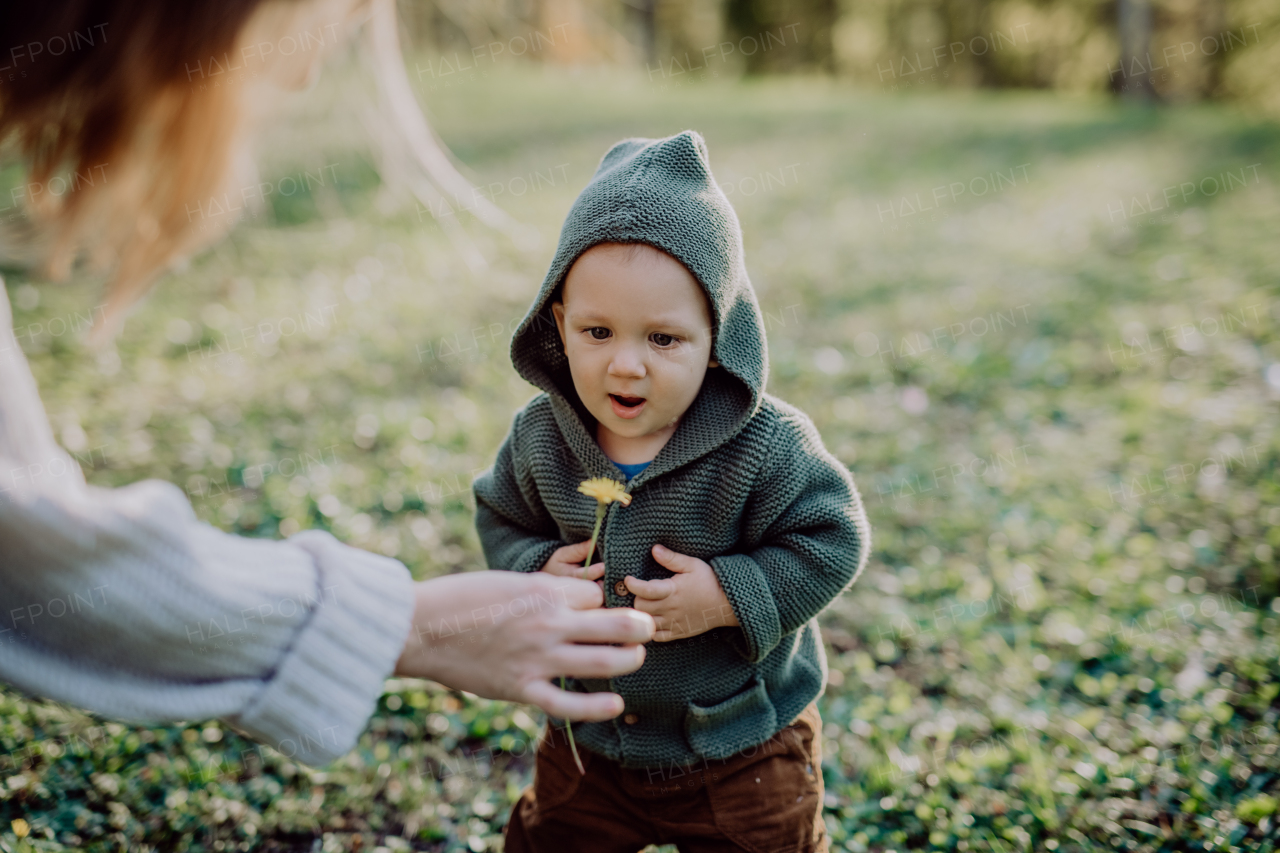 A portrait of cute little boy wearing knitted hoodie in nautre, autumn concept.