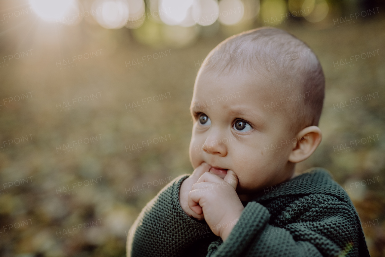 A little boy sitting in dry leaves in nature, autumn concept