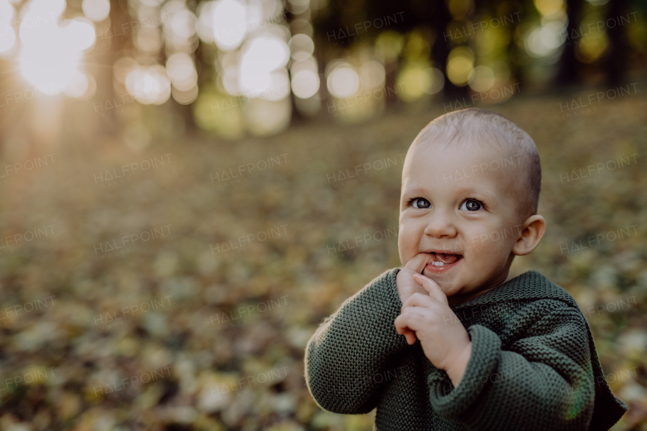 A little boy sitting in dry leaves in nature, autumn concept