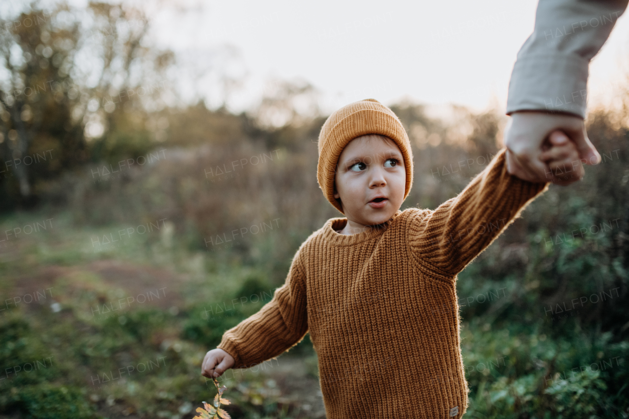 A portrait of cute little boy wearing knitted sweater in nautre, autumn concept.