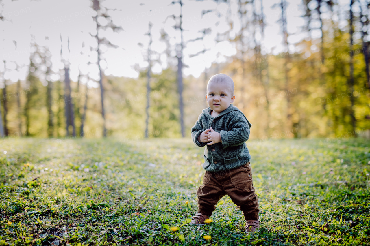 A portrait of cute little boy wearing knitted hoodie in nautre, autumn concept.