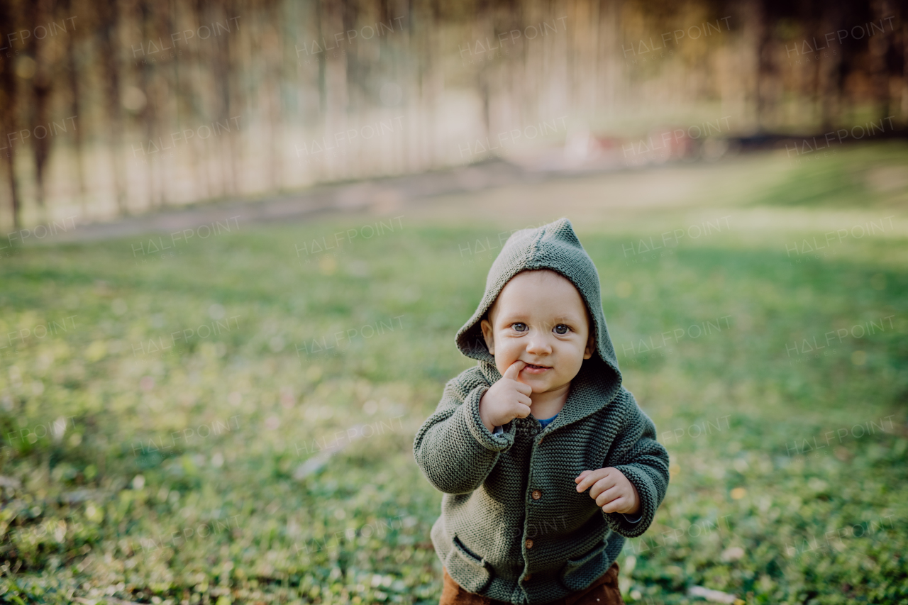 A portrait of cute little boy wearing knitted hoodie in nautre, autumn concept.