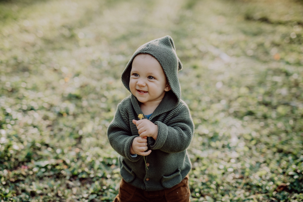 A portrait of cute little boy wearing knitted hoodie in nautre, autumn concept.