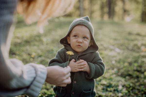 Mother giving meadow flower to his little son during walk in forest nature.