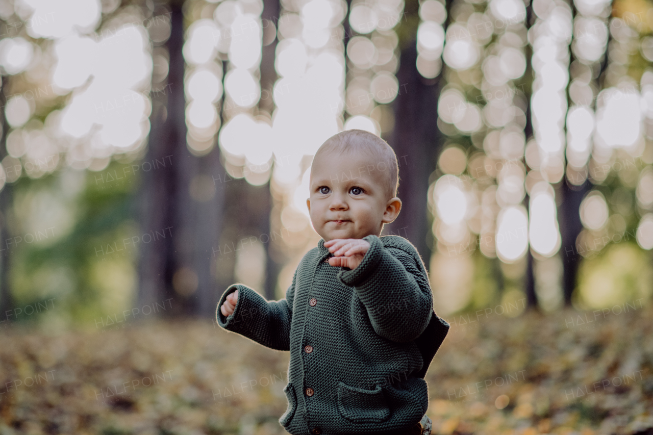 A portrait of cute little boy wearing knitted hoodie in nautre, autumn concept.