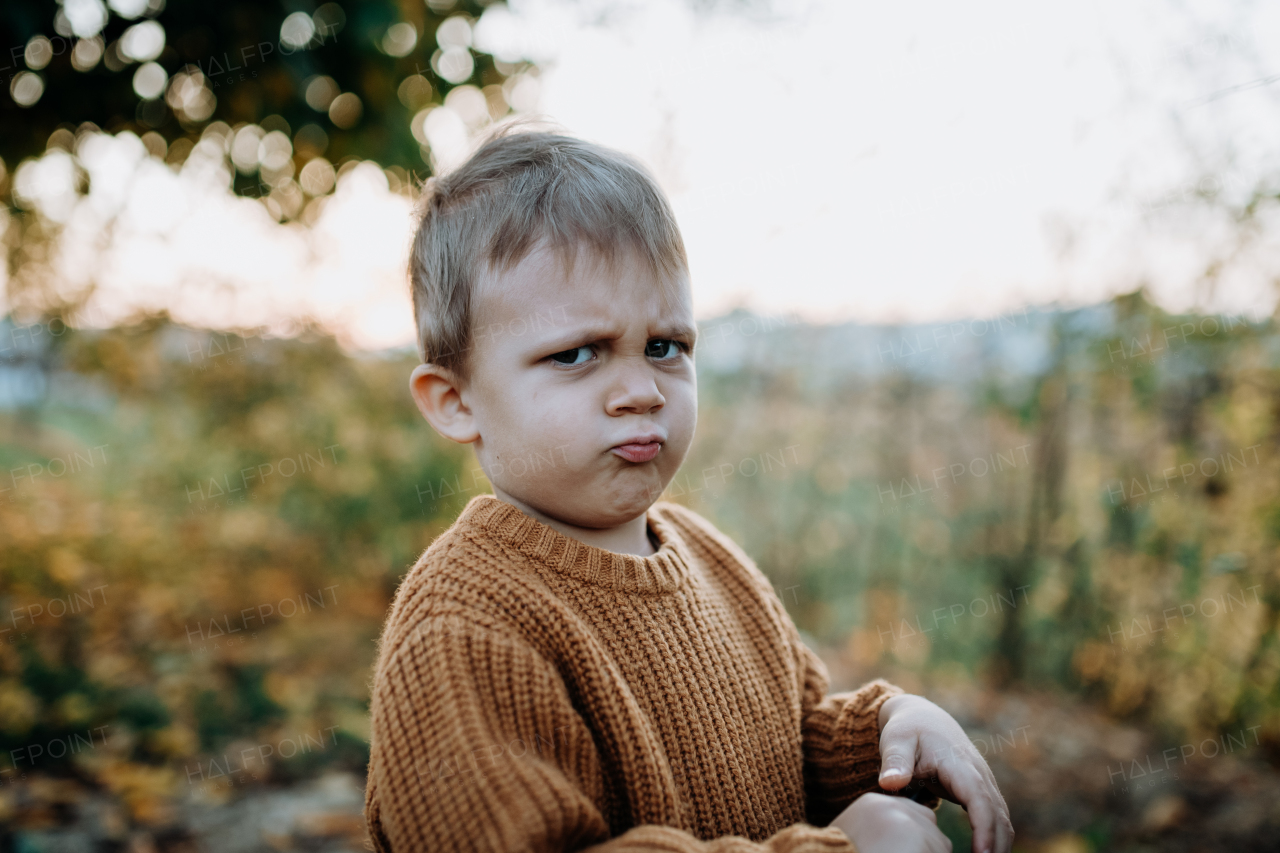 A portrait of upset little boy wearing knitted sweater in nautre, autumn concept.