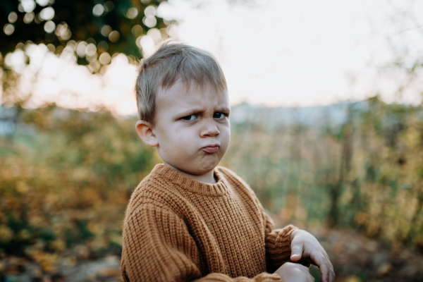 A portrait of upset little boy wearing knitted sweater in nautre, autumn concept.