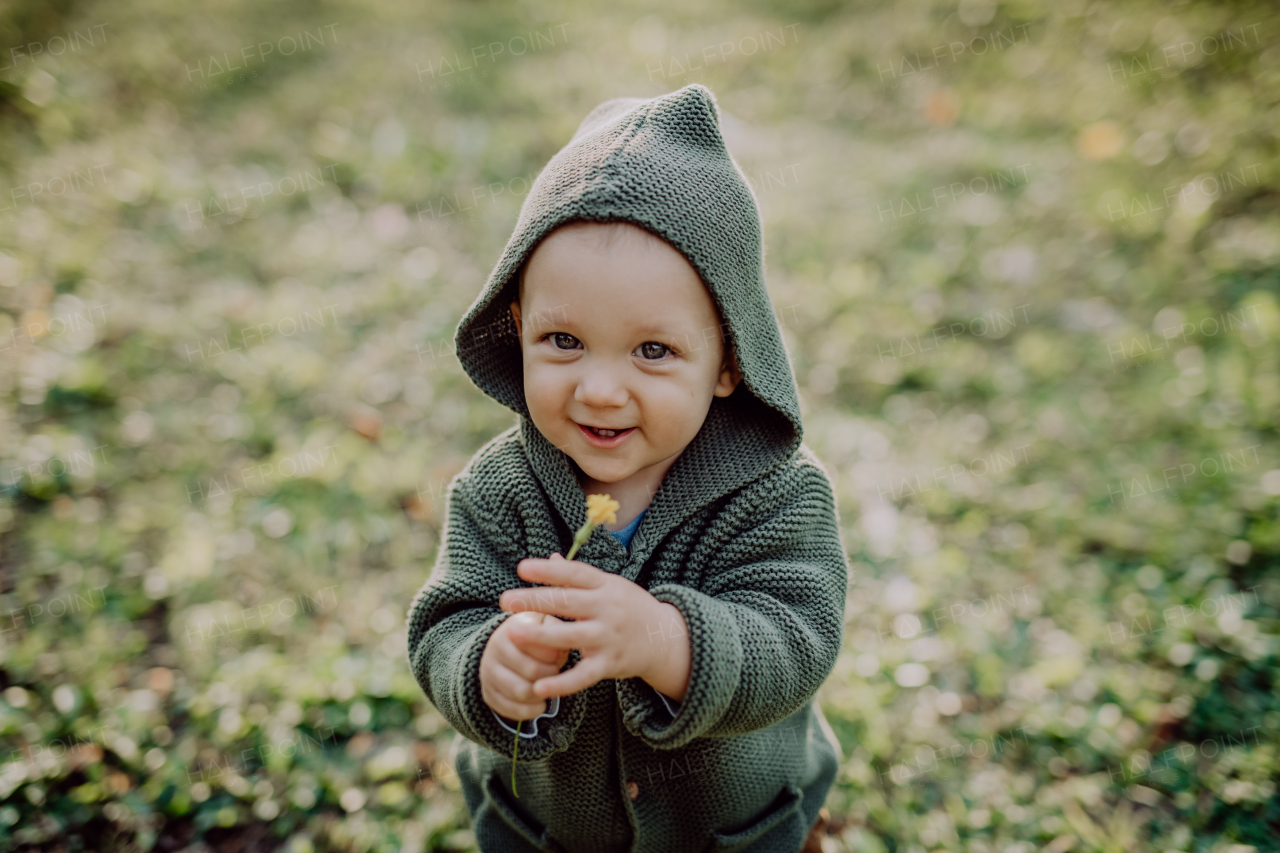 A portrait of cute little boy wearing knitted hoodie in nautre, autumn concept.