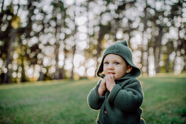 A portrait of cute little boy wearing knitted hoodie in nautre, autumn concept.