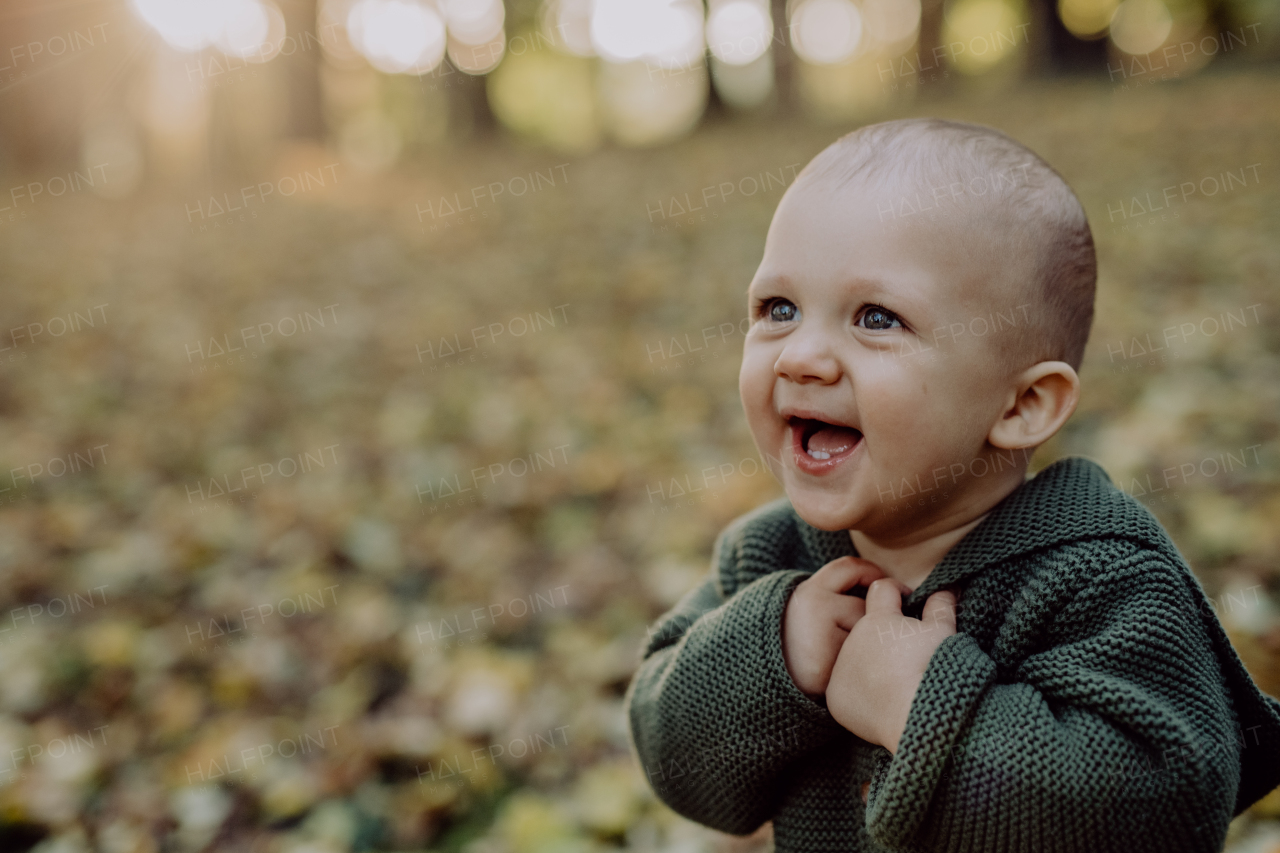 A portrait of cute little boy wearing knitted hoodie in nautre, autumn concept.