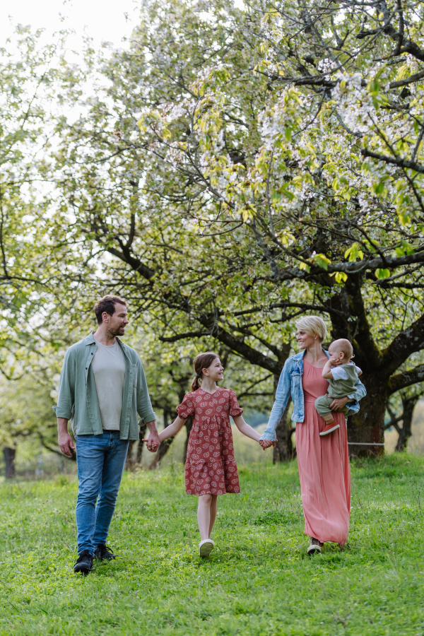 Family portrait with daughter and small toddler or baby, walking outdoors in spring nature. Nuclear family.