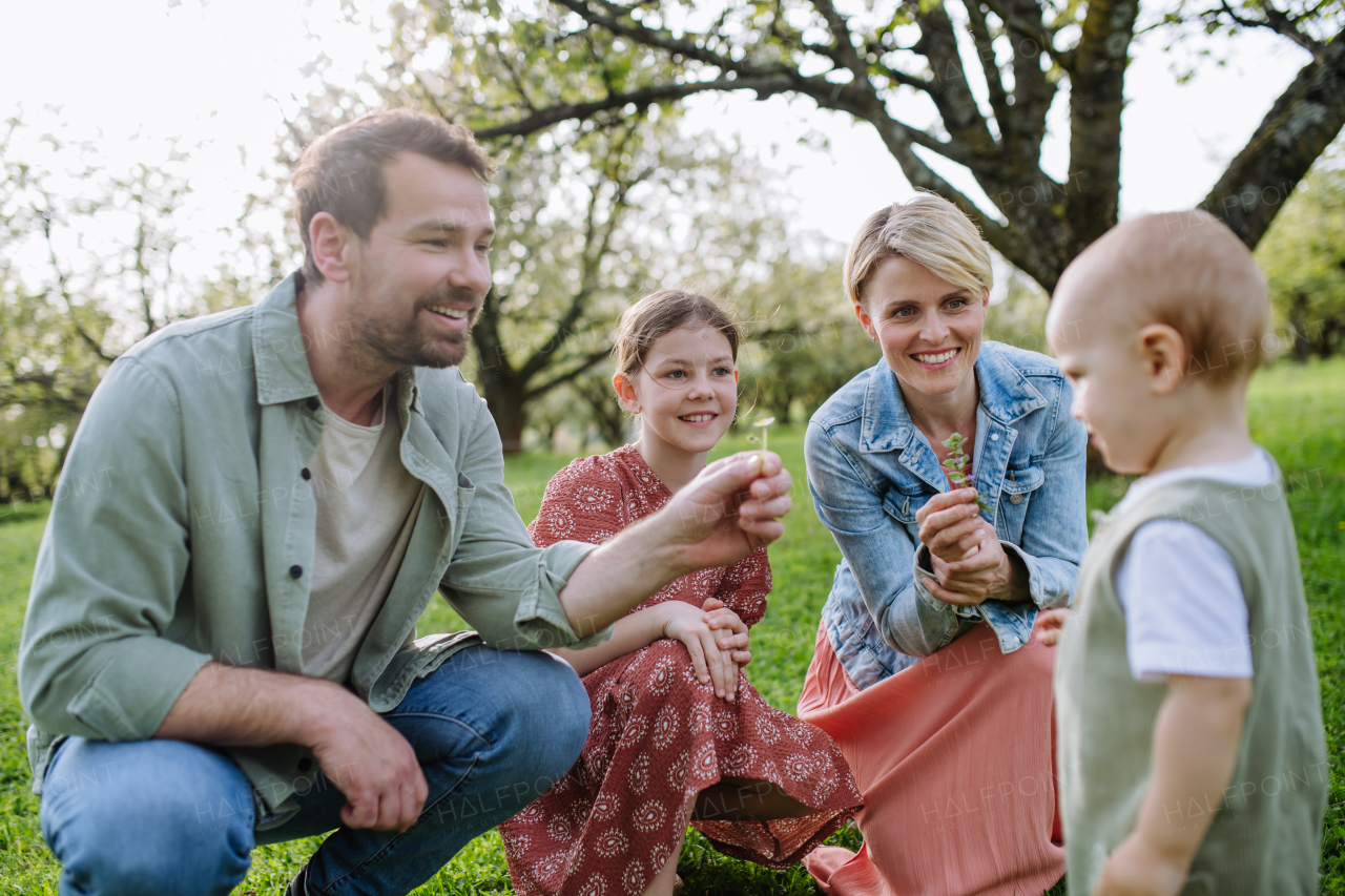 Family portrait with daughter and small toddler or baby, outdoors in spring nature. Nuclear family.