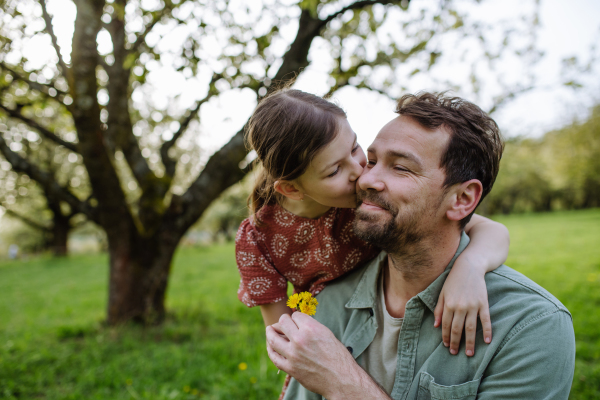 Daughter giving father small flower as gift, kissing him on cheek. Dad and girl spending together time in spring nature. Father's day concept.