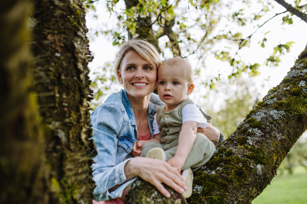 Portrait of beautiful mature first time mother with small toddler, baby, outdoors in spring nature, sitting on tree branch.