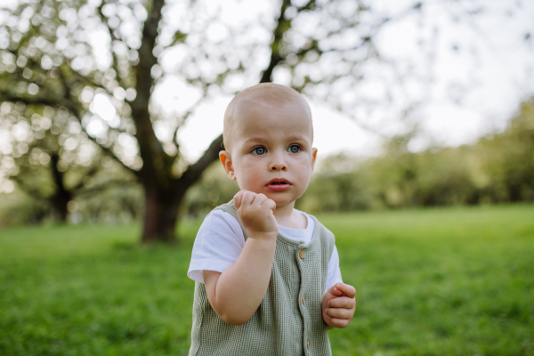 Cute toddler playing in grass. Portrait of baby on family walk in spring nature. Happy family moment.