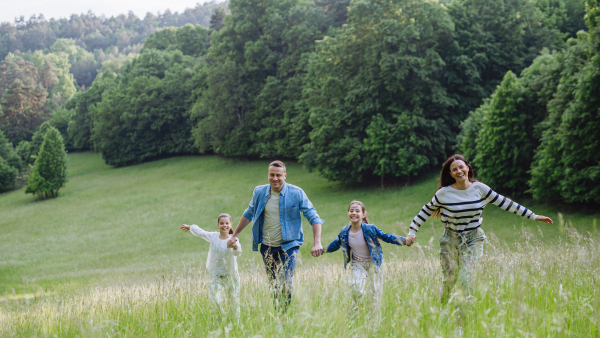 Family on walk in forest, going through meadow. Picking mushrooms, herbs and flowers picking in basket, foraging. Concept of family ecological hobby in nature.