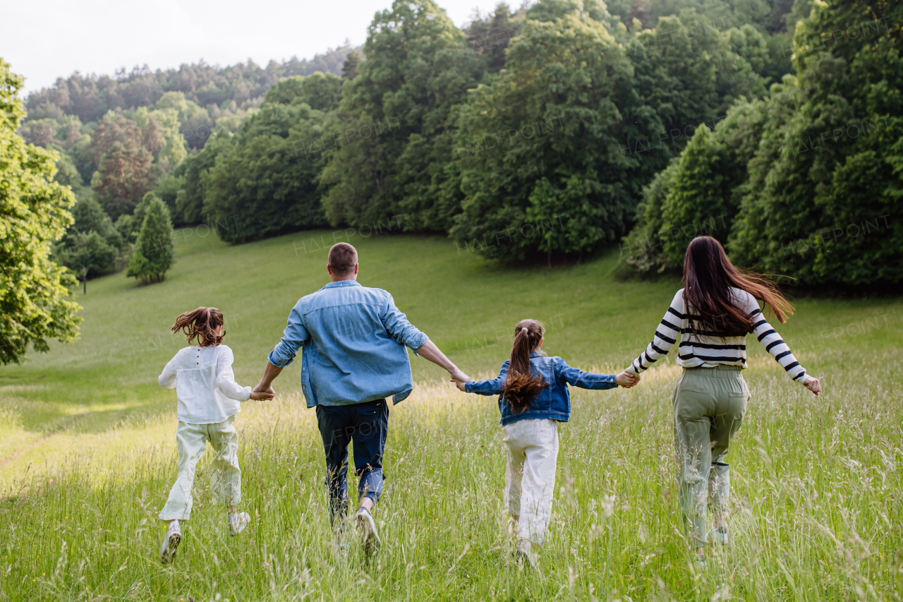 Rear view of beautiful young family walking, running through grass at meadow, enjoying together time.