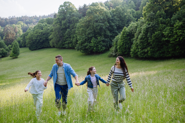 Family on walk in forest, going through meadow. Picking mushrooms, herbs and flowers picking in basket, foraging. Concept of family ecological hobby in nature.